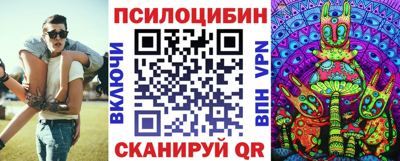 Галлюциногенные грибы Cubensis  OMG ТОР  Кодинск 